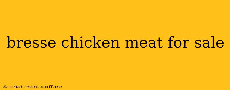 bresse chicken meat for sale