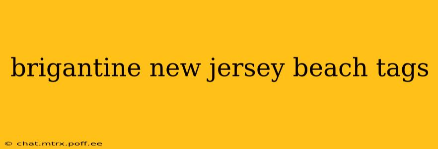 brigantine new jersey beach tags