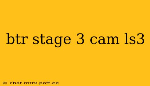 btr stage 3 cam ls3