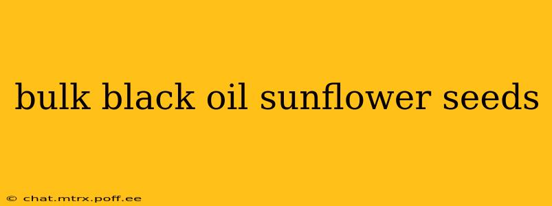 bulk black oil sunflower seeds