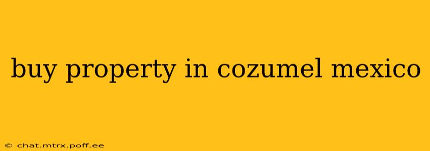 buy property in cozumel mexico