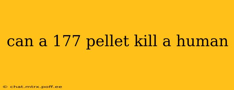 can a 177 pellet kill a human