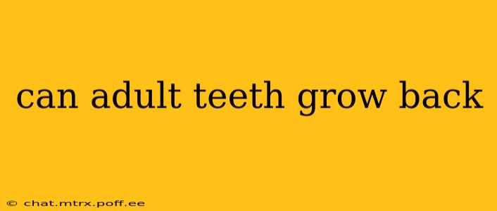 can adult teeth grow back