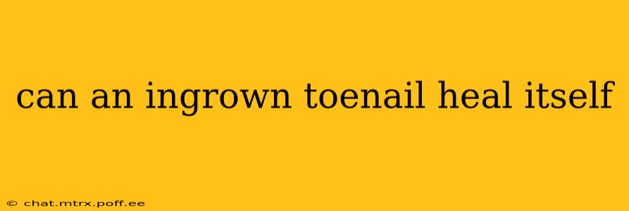 can an ingrown toenail heal itself