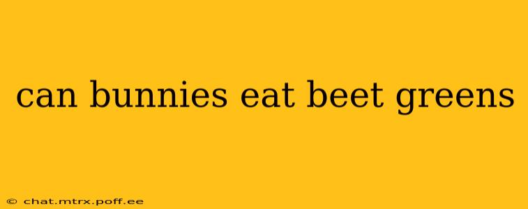 can bunnies eat beet greens