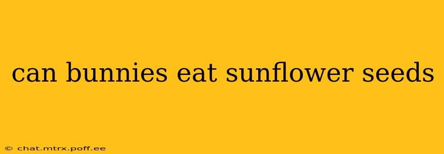 can bunnies eat sunflower seeds