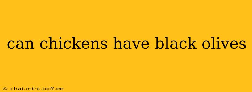 can chickens have black olives
