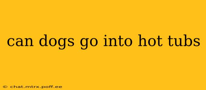 can dogs go into hot tubs