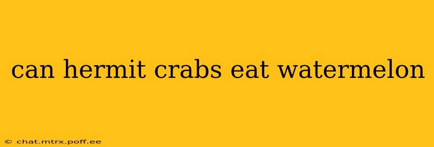 can hermit crabs eat watermelon
