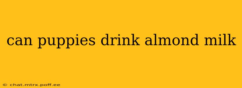 can puppies drink almond milk