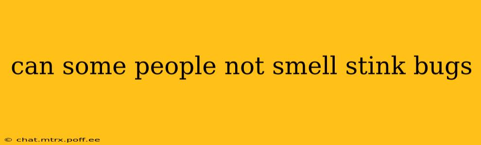 can some people not smell stink bugs