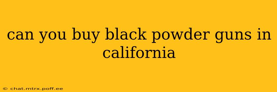 can you buy black powder guns in california