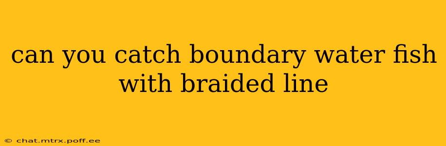 can you catch boundary water fish with braided line
