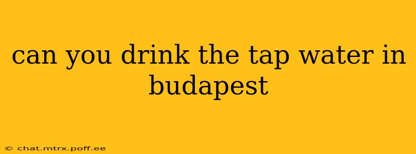 can you drink the tap water in budapest