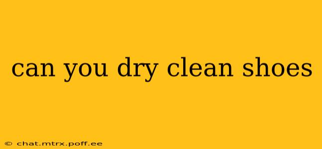 can you dry clean shoes