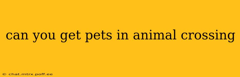 can you get pets in animal crossing