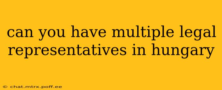 can you have multiple legal representatives in hungary
