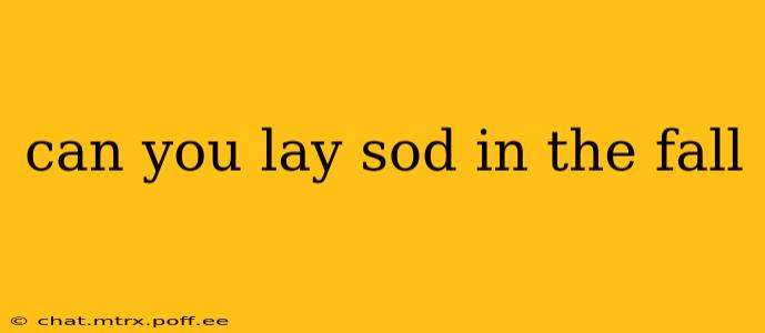 can you lay sod in the fall