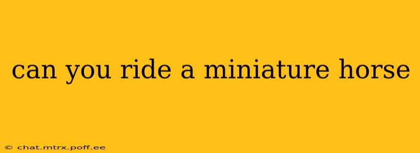 can you ride a miniature horse