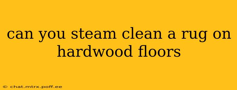 can you steam clean a rug on hardwood floors