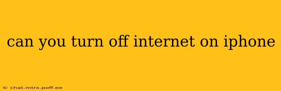 can you turn off internet on iphone