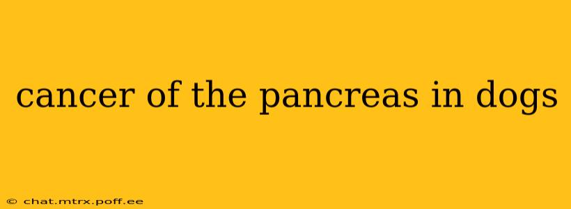 cancer of the pancreas in dogs