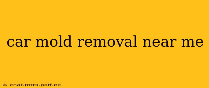 car mold removal near me