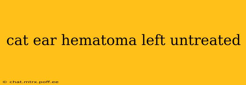 cat ear hematoma left untreated