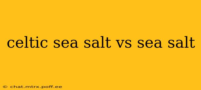 celtic sea salt vs sea salt