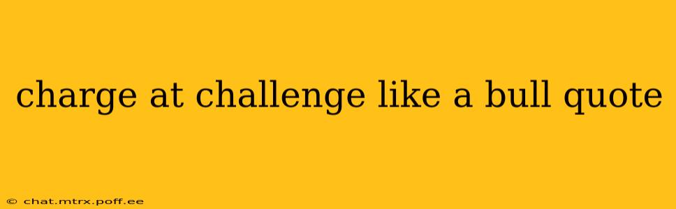 charge at challenge like a bull quote