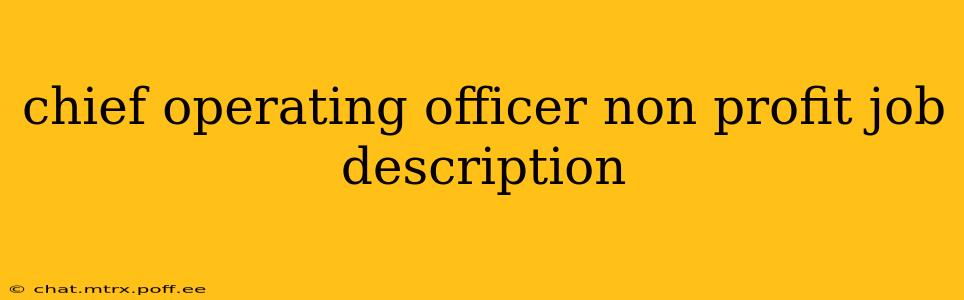 chief operating officer non profit job description