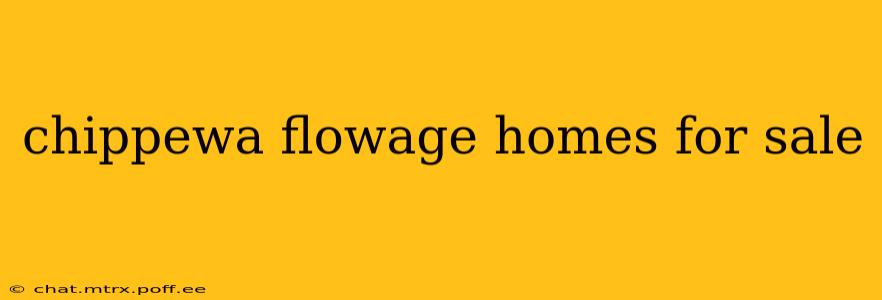 chippewa flowage homes for sale