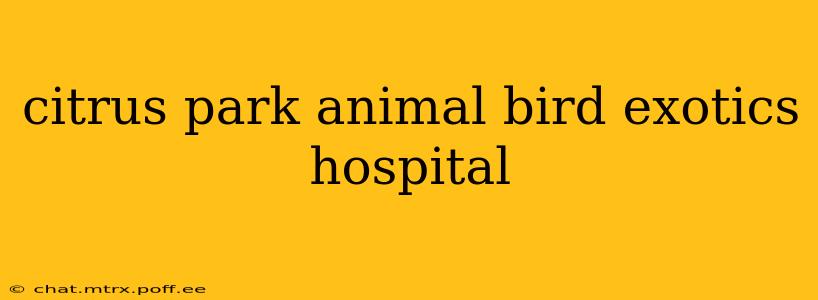 citrus park animal bird exotics hospital