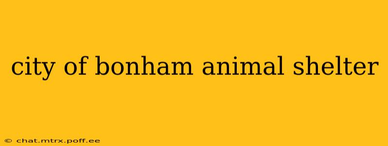 city of bonham animal shelter