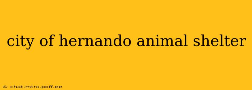 city of hernando animal shelter