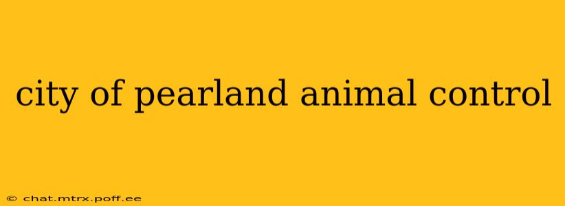 city of pearland animal control