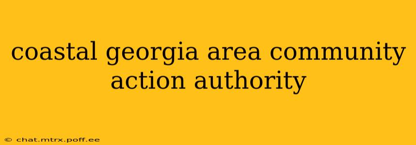 coastal georgia area community action authority