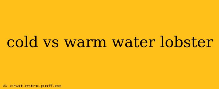 cold vs warm water lobster