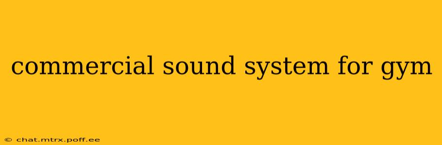 commercial sound system for gym