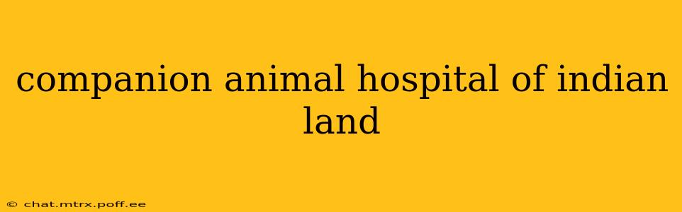 companion animal hospital of indian land