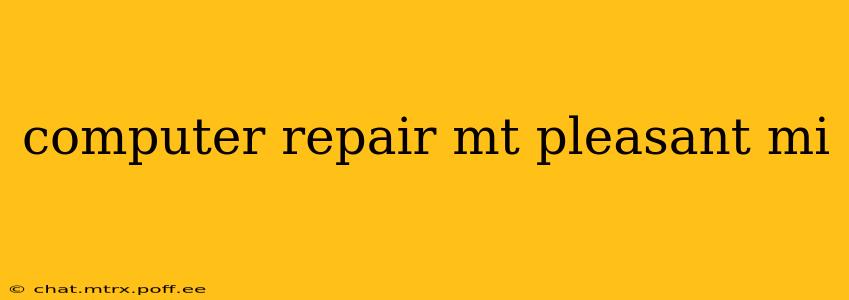computer repair mt pleasant mi