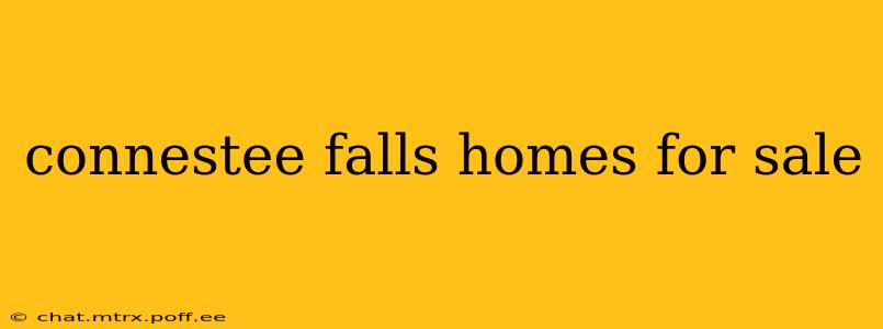 connestee falls homes for sale