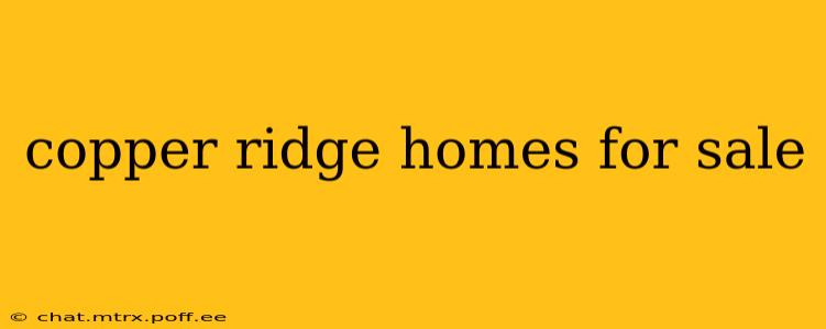 copper ridge homes for sale