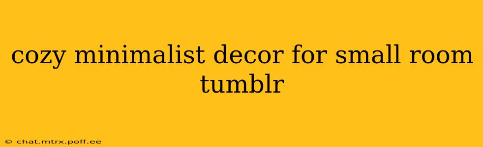 cozy minimalist decor for small room tumblr