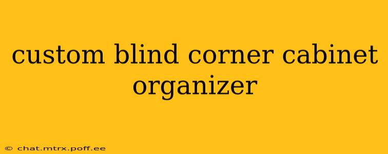 custom blind corner cabinet organizer