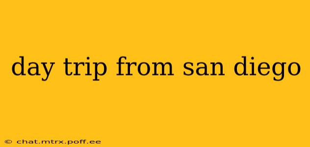 day trip from san diego