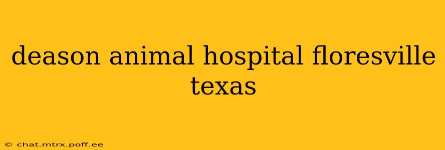 deason animal hospital floresville texas