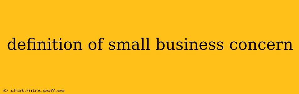 definition of small business concern
