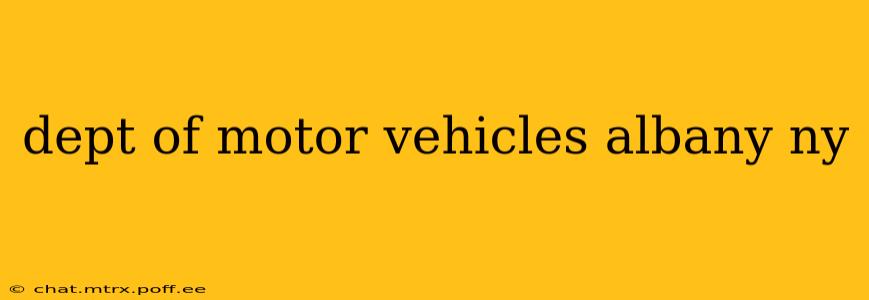 dept of motor vehicles albany ny