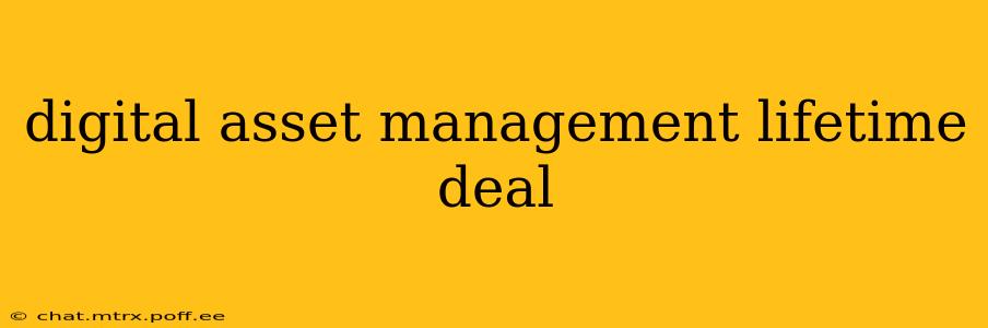 digital asset management lifetime deal